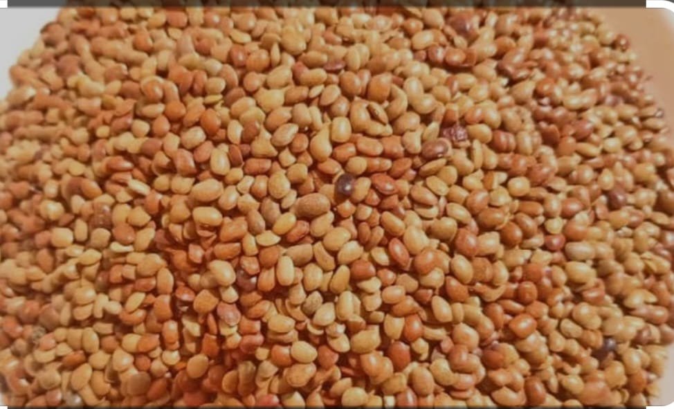  What Is Horse Gram In Hindi National Media News